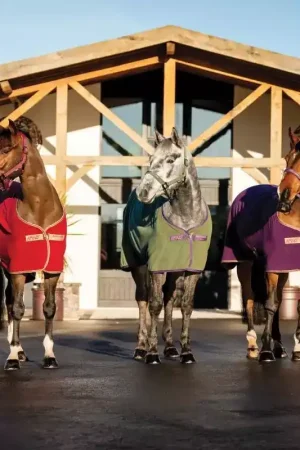 Vente Directe Chemise polaire cheval Amigo Fleece Cooler - Horseware