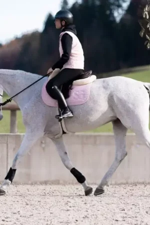 Haute Qualité Tapis de selle cheval Lilibeth - SG by Harcour