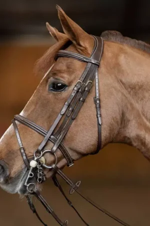 Meilleur Choix Bride cheval Double Jump - HFI