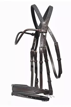 Bridon cheval cuir Evolution Contact - IHWT Commander Vite