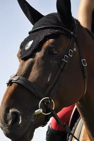 Bridon cheval cuir Evolution Soft T Contact - IHWT Vente Flash
