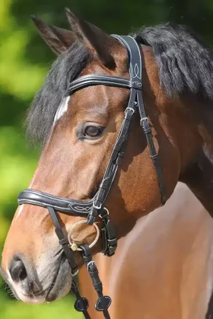 Offre Exclusive Bridon cuir cheval Ivy Plus muserolle tétière anatomique - Kavalkade
