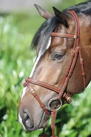 Bridon cuir cheval Lorenz muserolle combinée - Kavalkade Promotion Saisonnière