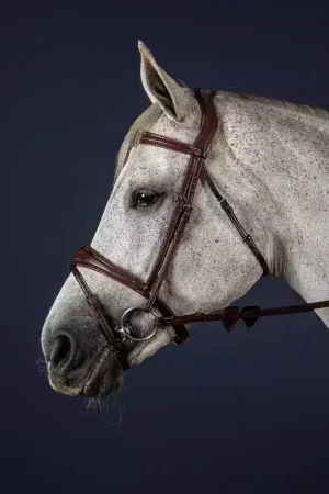 Bridon cheval muserolle combinée New English Collection - Dy'on Marque
