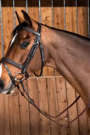 Bridon cheval muserolle combinée Classique Working Collection - Dy'on Vente Flash