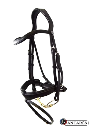 Bridon cuir muserolle combinée large dressage Signature - Antarès Usine Directe