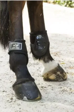 Vente Directe Protège-boulets cheval V22 Velcro - Lami-Cell