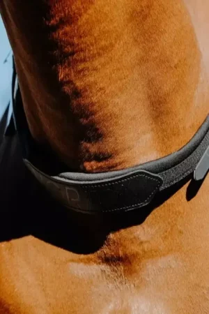 Meilleur Prix Collier de monte à cru cheval