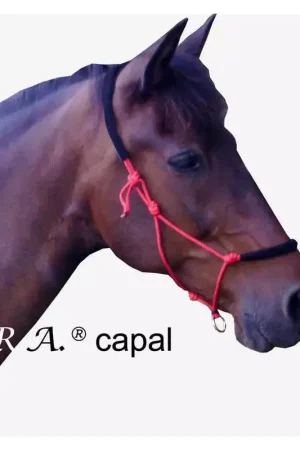 Licol de travail éthologique cheval rembourré Capal - F.r.a Quantité Limitée