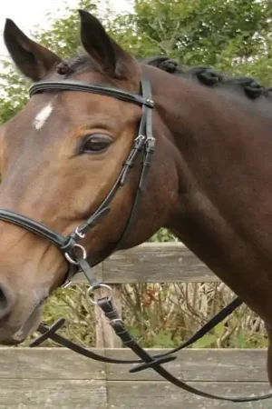 Bridon bitless sans mors cheval cuir - Harry's Horse Top Vente