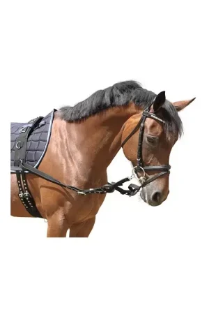 Dernier Modèle Enrênement élastique cheval nylon