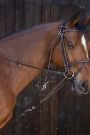 Affaire À Saisir Gogue à poulies cheval