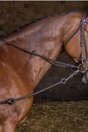 Meilleur Prix Enrênement Pirelli cheval