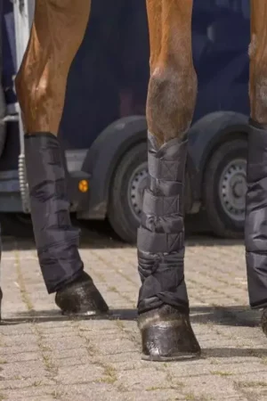 Guêtres de transport cheval économiques (x4) - Riding World Meilleure Vente