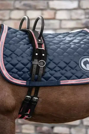 Surfaix cheval 2 poignées - Waldhausen Usine Directe