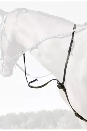 Offre Spéciale Martingale cuir C-Cure