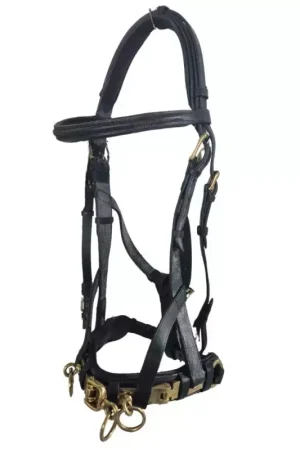 Caveçon cheval en cuir supérieur Must-Have