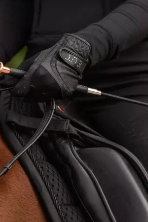 Commander Vite Cravache CSO Noblesse - Waldhausen