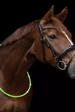 Cordelette cheval led - Waldhausen Quantité Limitée