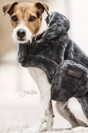 Manteau chien fourrure synthétique - Kentucky Dogwear Offre Exclusive