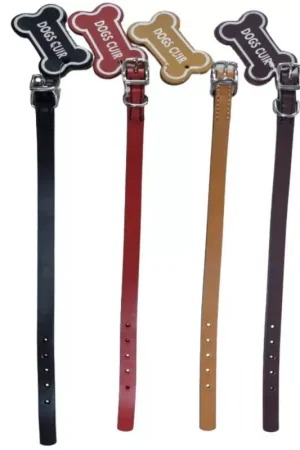 Top Vente Collier en cuir pour chien