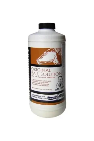 Prix Choc Mélange chauffant membres 473 ml Original Ball Solution