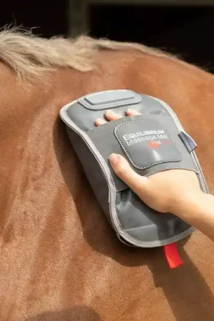 Seulement Aujourd'hui Gant de massage cheval chauffant - Equilibrium
