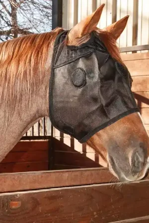 Masque anti-stress cheval MagNTX - Classic Equine Bon Plan