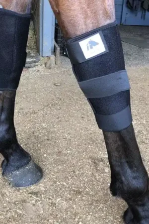 Prix Cassé Protège genoux cheval Technologie Titane Liquide - Fenwick