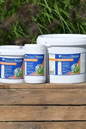 Solde Natural'Recup argile tendons et articulations cheval - Natural'Innov