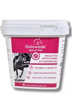 Soin tendons cheval Molettop - Galowade Satisfait Ou Remboursé