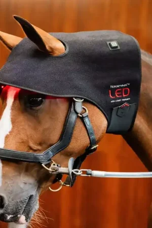Certifié Protège nuque thérapeutique LED Luminotherapie Poll Cap - Horseware