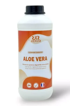 Aloe Vera Juice cheval 100% pur jus - Rekor Commande En Gros