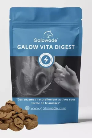 Réduction Friandises cheval probiotiques Galow Digest 690 g - Galowade