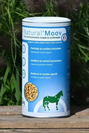 Meilleur Choix Locomotion cheval Natural'Moov - Natural'Innov
