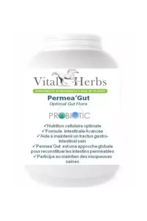 Authentique Permea Gut probiotique cheval - Vial Herbs