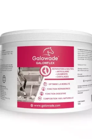 Galowflex-mobilité cheval Harpagophytum glucosamine Msm - Galowade Commander Maintenant