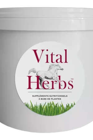 Seau vide 5 litres - Vital Herbs Prix Cassé