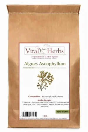 Algues marine - Bien-être général cheval 1kg - Vital Herbs Remise