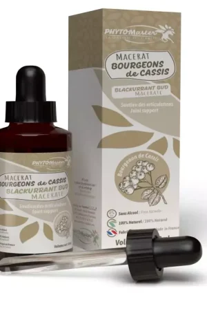 Macérat bourgeon cassis Gemmothérapie articulation - Phyto Master Top Vente