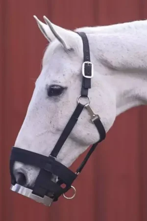Muselière à disque cheval - Cashel Jusqu'à Épuisement Des Stocks