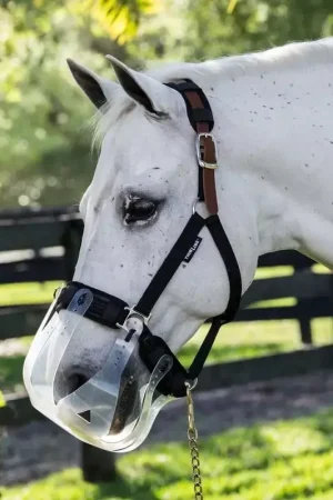 Panier anti-fourbure cheval limitation normale Filly - Thinline Commande En Gros
