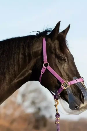 Top Vente Panier anti-fourbure cheval limitation élevée Filly - Thinline