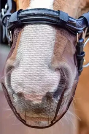 Populaire Protège-naseaux cheval anti ensencement bridon Micklem - Equilibrium
