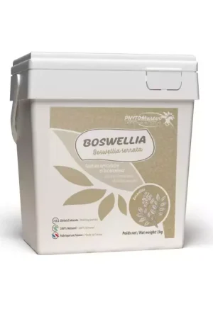 Offre Du Jour Boswellia - Soutien articulaire et locomoteur cheval - Phtyo Master
