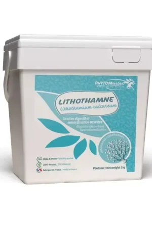 Lithothamne soutien digestif cheval - Phyto Master Expédié Aujourd'hui