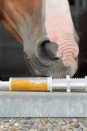 Red Booster Flash seringue - Recupération cheval - LPC Nouvelle Collection
