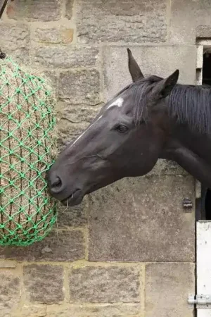Achat Immédiat Filet à foin cheval - limiteur de consommation - Elim-a-net