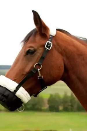 Acheter En Ligne Muselière cheval en mouton synthétique