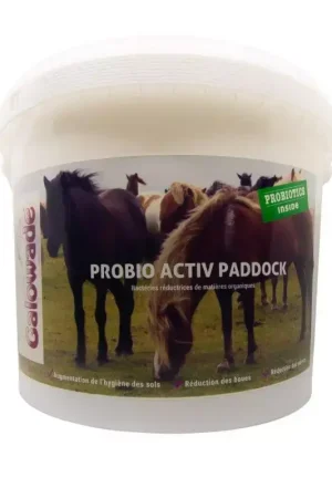 Acheter Direct Probio Activ Paddock Surpâturage cheval - Galowade